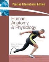 Human Anatomy and Physiology with Interactive Physiology 10-System Suite - Marieb, Elaine N.; Hoehn, Katja