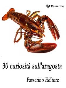 30 curiosità sull'aragosta - Passerino Editore