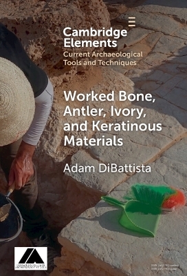 Worked Bone, Antler, Ivory, and Keratinous Materials - Adam DiBattista