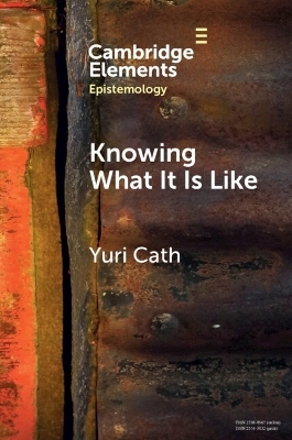 Knowing What It Is Like - Yuri Cath