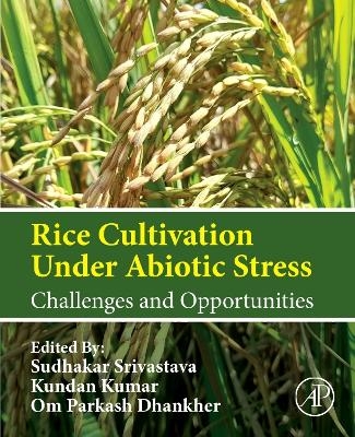 Rice Cultivation Under Abiotic Stress - 