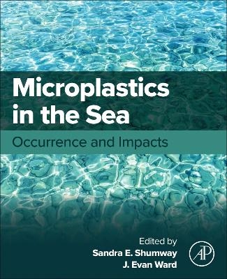 Microplastics in the Sea - 