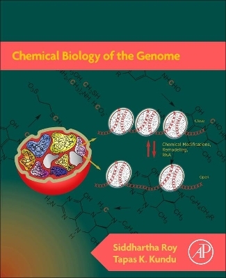 Chemical Biology of the Genome - Siddhartha Roy, Tapas K. Kundu