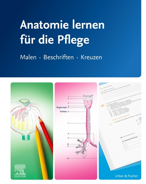 Anatomie lernen für die Pflege