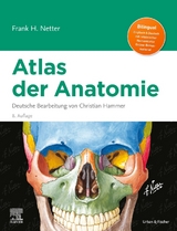 Atlas der Anatomie - Netter, Frank H.