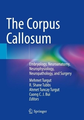 The Corpus Callosum - 