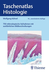 Taschenatlas Histologie - Kühnel, Wolfgang