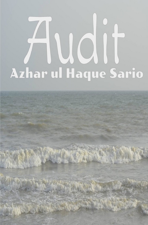 Audit - Azhar Ul Haque Sario