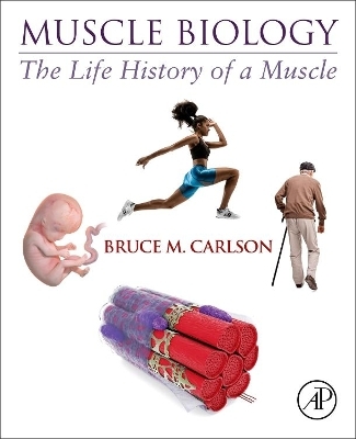 Muscle Biology - Bruce M. Carlson