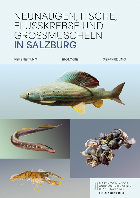 Neunaugen, Fische, Flusskrebse und Großmuscheln in Salzburg - Martin Weinländer, Andreas Unterweger, Renate Schrempf