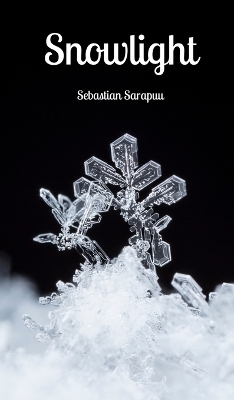 Snowlight - Sebastian Sarapuu