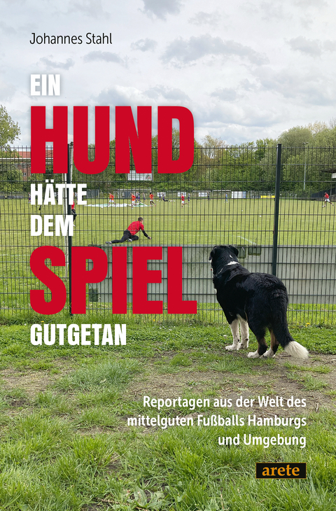 Ein Hund hätte dem Spiel gutgetan - Johannes Stahl