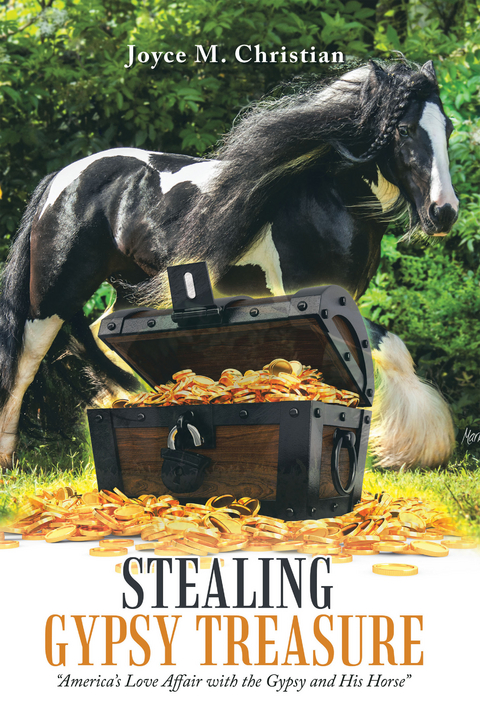 Stealing Gypsy Treasure - Joyce M. Christian