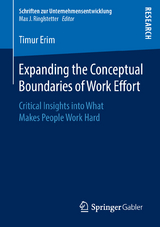 Expanding the Conceptual Boundaries of Work Effort - Timur Erim