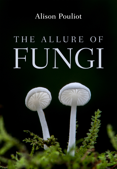 The Allure of Fungi - Alison Pouliot