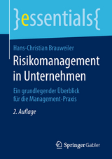 Risikomanagement in Unternehmen - Hans-Christian Brauweiler