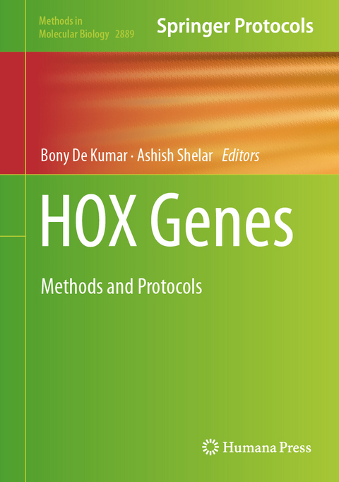 HOX Genes - 