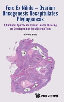 Fere Ex Nihilo - Ovarian Oncogenesis Recapitulates Phylogenesis: A Hormonal Approach To Ovarian Cancer Mirroring The Development Of The Mullerian Tract - Elvio G Silva