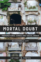 Mortal Doubt -  Anthony W. Fontes