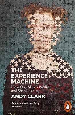 The Experience Machine - Andy Clark