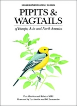 Pipits and Wagtails of Europe, Asia and North America - Alström, Per; Mild, Krister