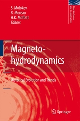 Magnetohydrodynamics - 