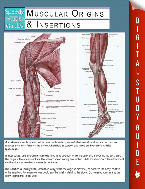 Muscular Origins & Insertions (Speedy Study Guides) -  Speedy Publishing