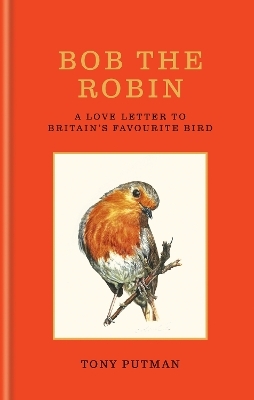 Bob the Robin - Tony Putman