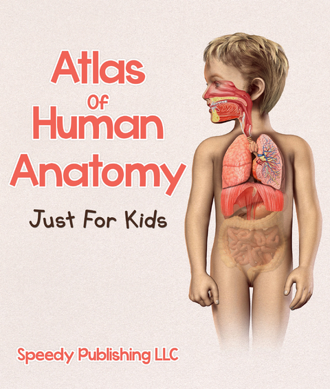 Atlas Of Human Anatomy Just For Kids -  Speedy Publishing