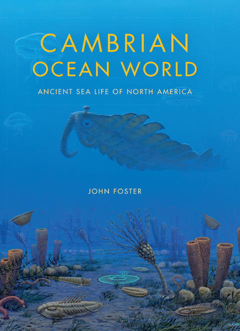 Cambrian Ocean World -  John Foster