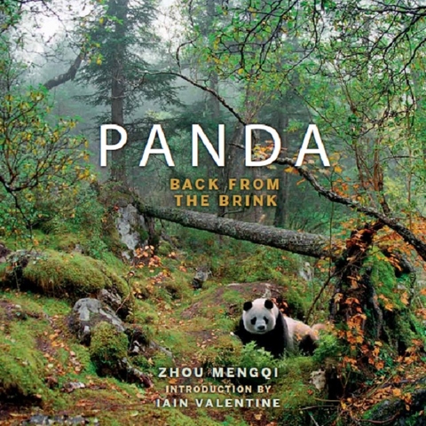 Panda: Back from the Brink - Zhou Mengqi