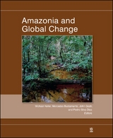 Amazonia and Global Change - 