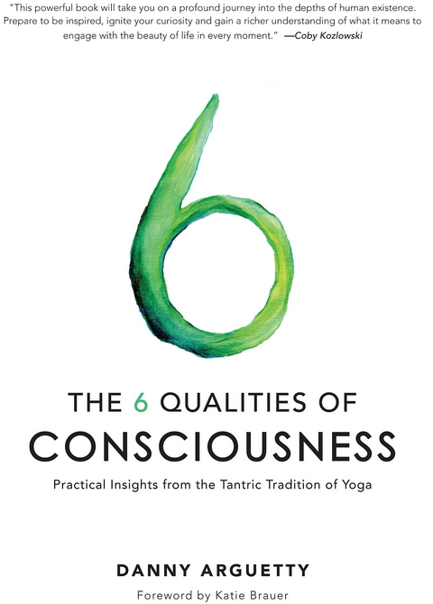 The 6 Qualities of Consciousness - Danny Arguetty