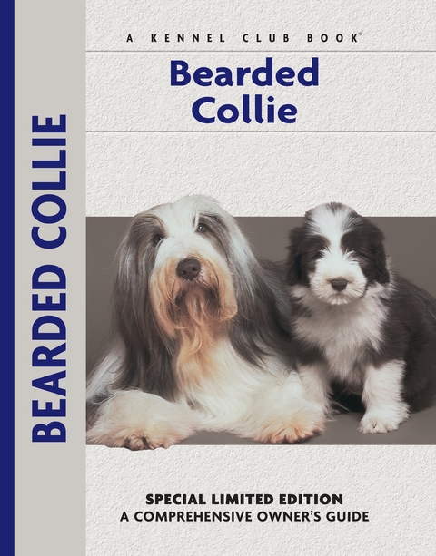 Bearded Collie - Bryony Harcourt-Brown