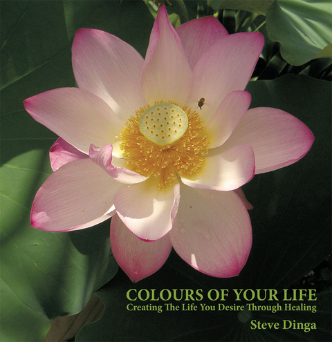 Colours of Your Life -  Steve Dinga