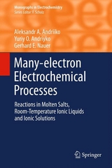 Many-electron Electrochemical Processes - Aleksandr A. Andriiko, Yuriy O Andriyko, Gerhard E. Nauer