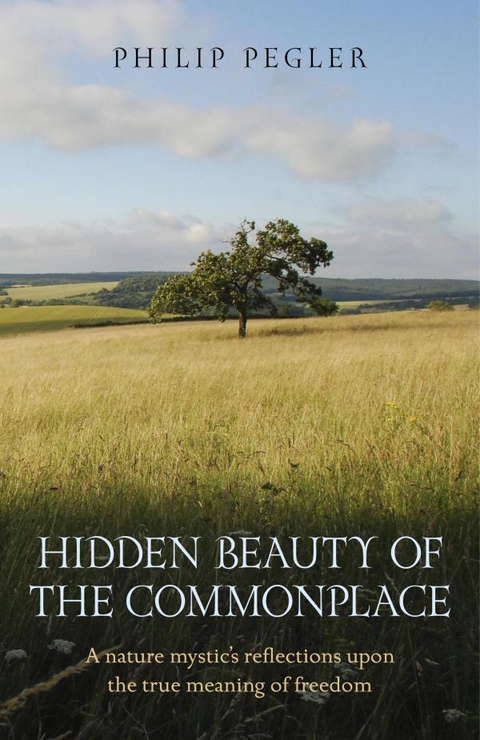 Hidden Beauty of the Commonplace -  Philip Pegler