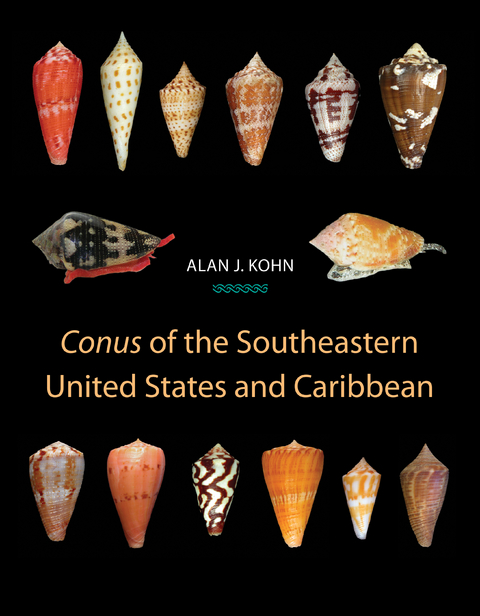 Conus of the Southeastern United States and Caribbean - Alan J. Kohn