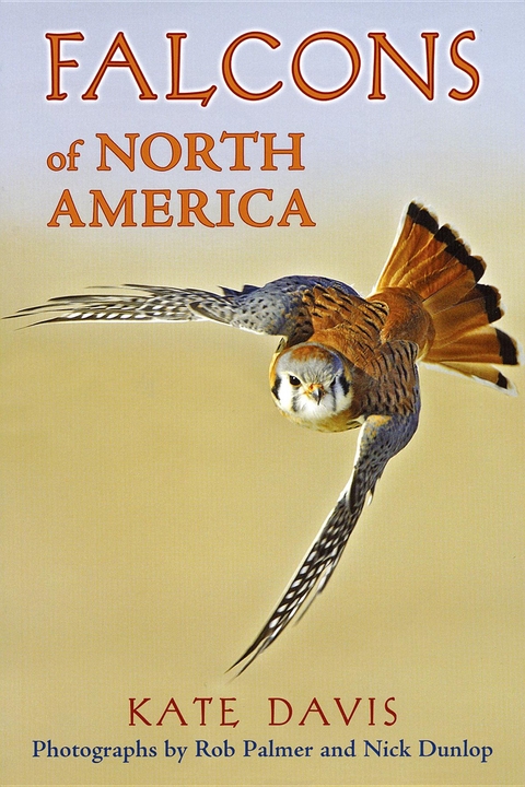 Falcons of North America -  Kate Davis