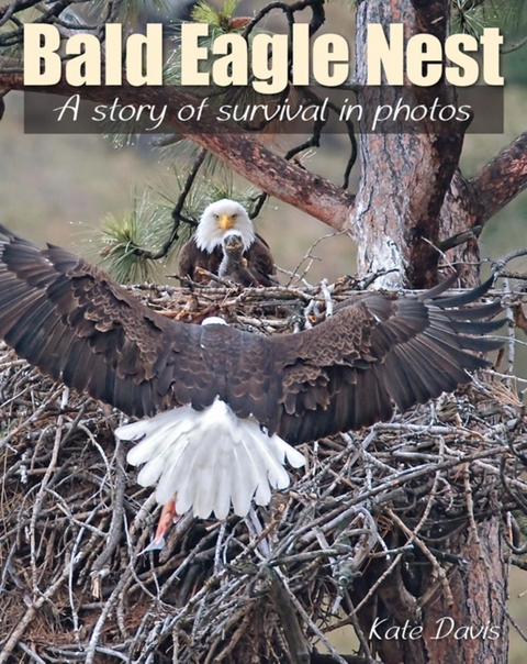 Bald Eagle Nest -  Kate Davis