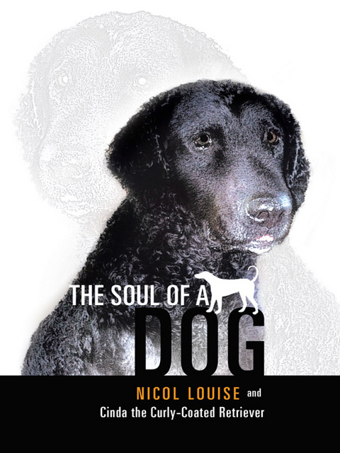 The Soul of a Dog - Nicol Louise,  Cinda the Curly-Coated Retriever