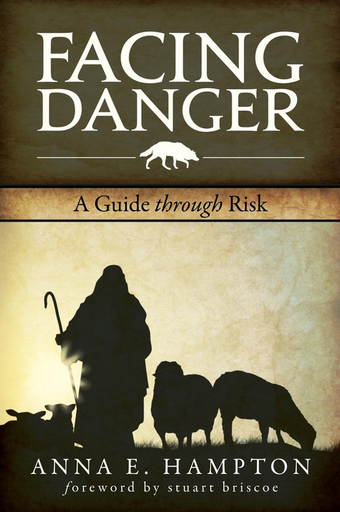 Facing Danger : A Guide Through Risk -  Dr. Anna E. Hampton