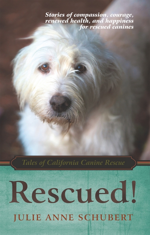 Rescued! -  Julie Anne Schubert