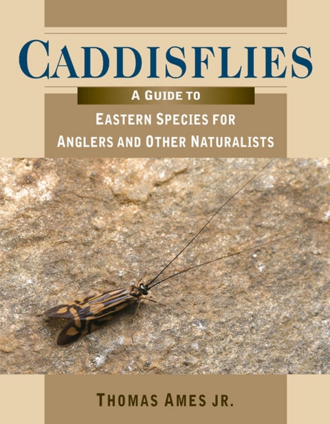 Caddisflies -  Thomas Ames