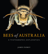 Bees of Australia - James Dorey