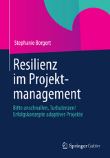 Resilienz im Projektmanagement - Stephanie Borgert