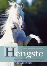 Hengste - Stefan Schneider, Steffi Birk