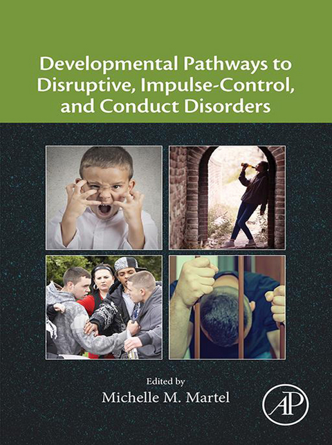 Developmental Pathways to Disruptive, Impulse-Control, and Conduct Disorders - 