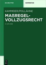 Maßregelvollzugsrecht - 