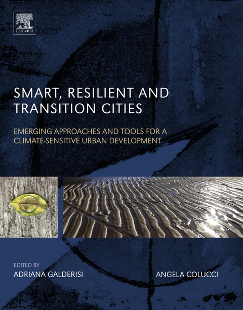 Smart, Resilient and Transition Cities -  Angela Colucci,  Adriana Galderisi